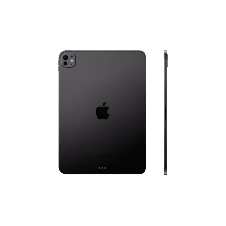 Apple iPad Pro M4 2024 13'' 2 ТБ Wi-Fi+LTE, «черный космос»